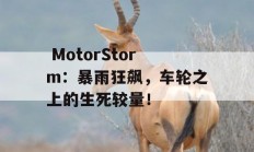  MotorStorm：暴雨狂飙，车轮之上的生死较量！